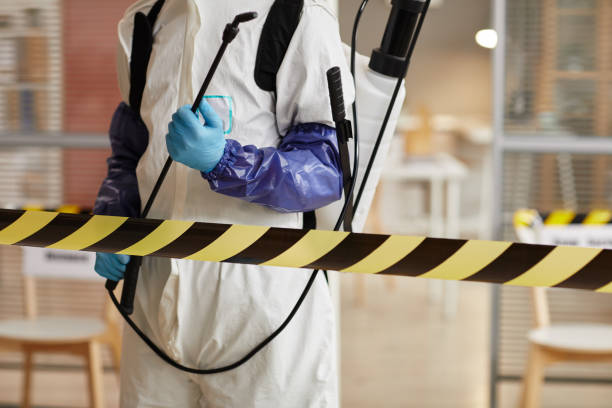 Professional Sewage Cleanup technician working in Wells, NV